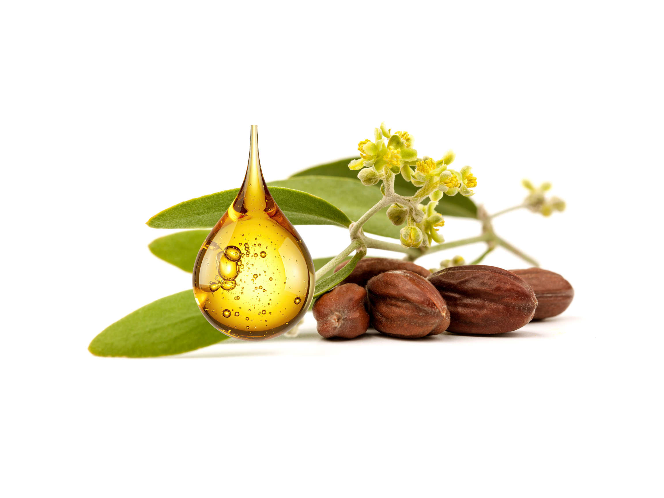 aceite de jojoba